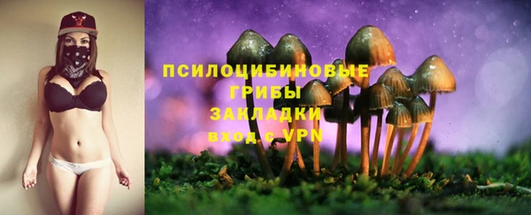 прущий лед Новозыбков