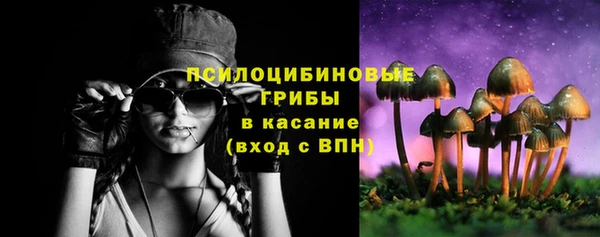спиды Новодвинск