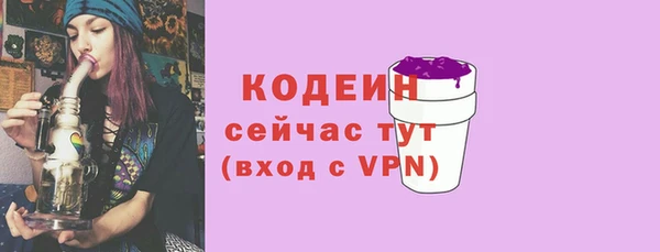 прущий лед Новозыбков
