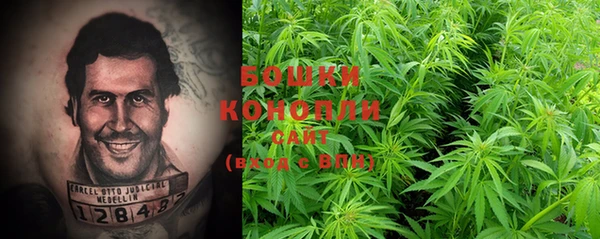 прущий лед Новозыбков