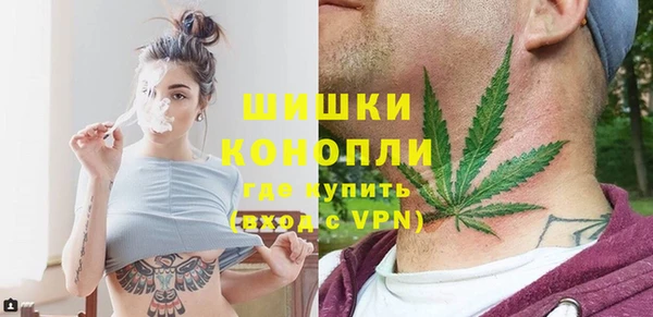 прущий лед Новозыбков