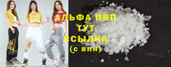 стаф Белая Холуница